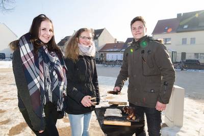 (c) Benjamin Diedering